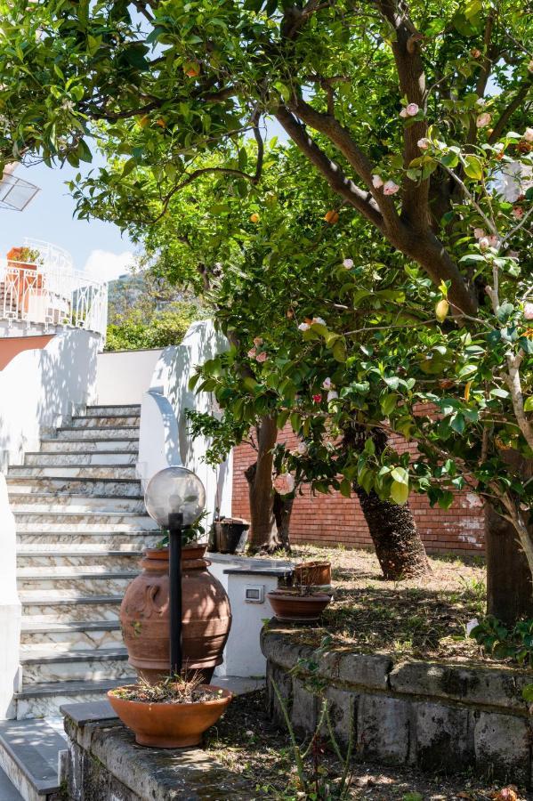 פיאנו די סורנטו Villa Francesca Relais מראה חיצוני תמונה
